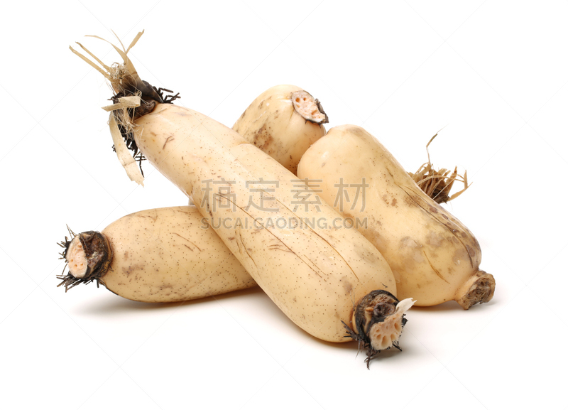 莲藕,白色背景,分离着色,穿洞的,膳食纤维,饮食,水平画幅,根部,格子,偏远的