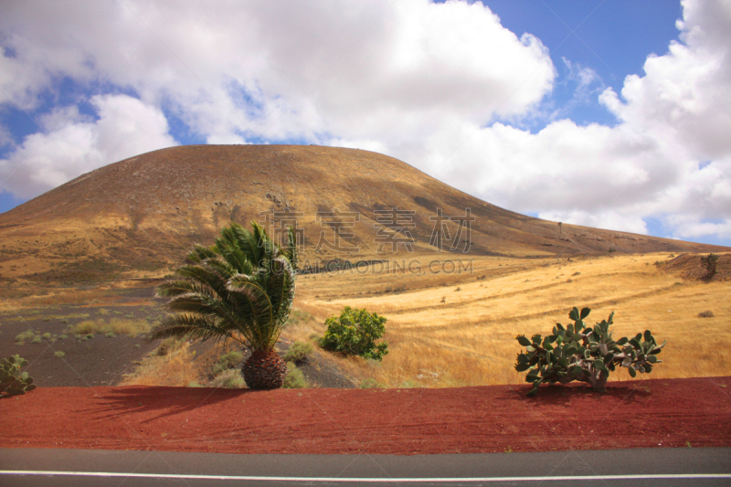 火山地形,火神,timanfaya national park,兰萨罗特岛,巴士,沙漠,大西洋群岛,户外,火山,欧洲