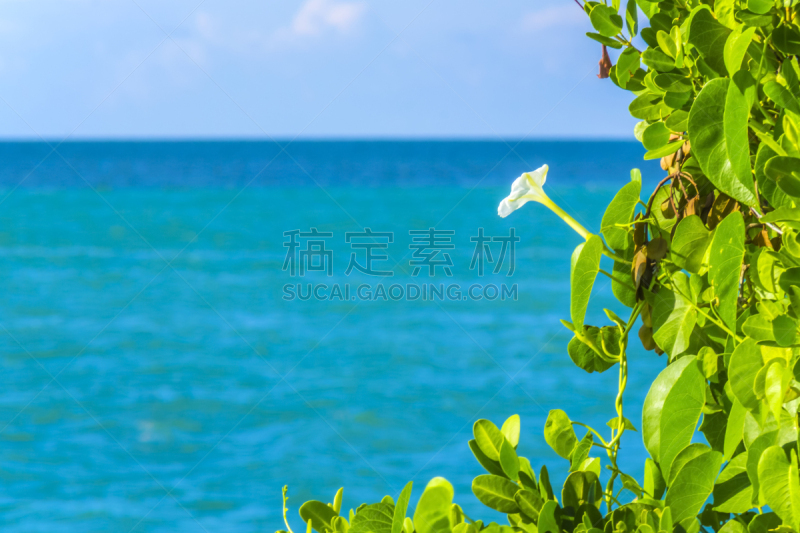 海滩,佛罗里达群岛,七里桥,水,美国,水平画幅,建筑,人,户外,海洋