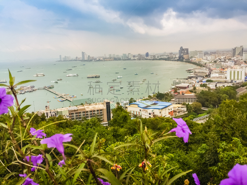 Beautiful of Pattaya bay view on Pratamnak Hill with blue sky background and the flower foreground. Pattaya city is famous about sea sport and night life entertainment.