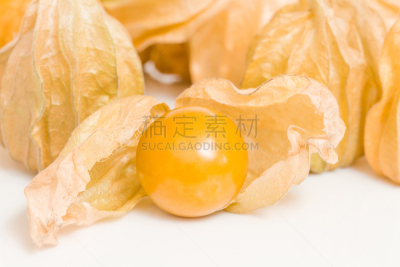 酸浆属,红菇娘,灯笼果,醋栗,外壳,灯笼,水平画幅,无人,干的,西红柿