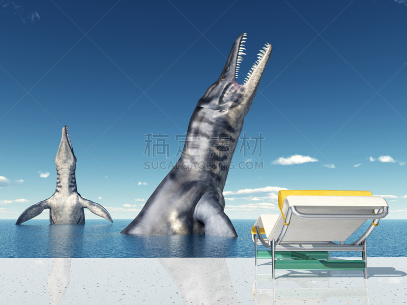 海怪,技能,沙滩椅,自然,天空,野生动物,休闲活动,水平画幅,蓝色,水下