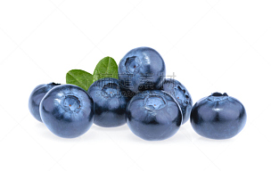 蓝莓,白色背景,分离着色,野生植物,浆果,越橘,藓沼,清新,背景分离,食品