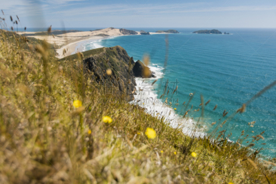 天空,灯塔楼,新西兰,cape reinga,蓝色,白昼,晴朗,水,沙子,旅行者