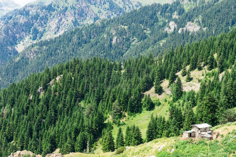 夏天,山,土耳其,阿尔特温,苏格兰高地,高原,天空,水平画幅,云,无人