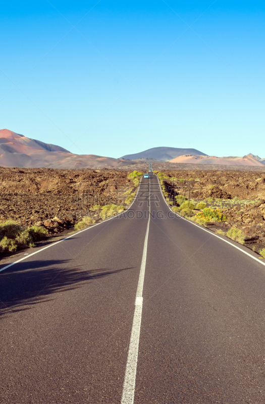 加那利群岛,路,兰萨罗特岛,西班牙,timanfaya national park,沥青,风,热带气候,直的,北美歌雀