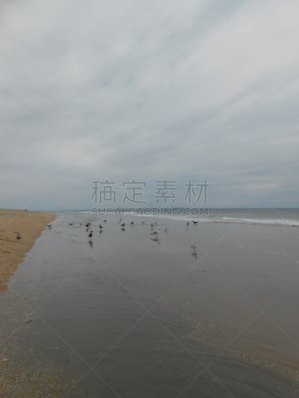 海滩,桑迪胡克,新泽西,刚尼森,垂直画幅,沙子,无人,大西洋,户外,布鲁克林