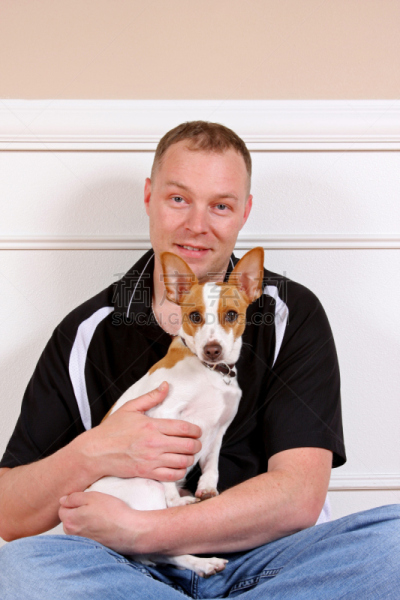狗,男人,垂直画幅,杰克拉瑟短腿犬,注视镜头,梗犬,人群,男性,彩色图片,衬衫