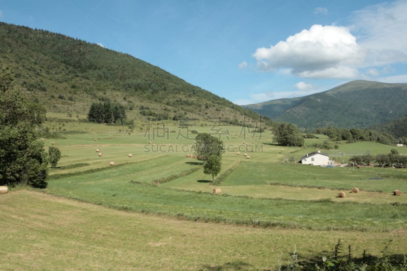 宝丽丝山脉,草地,拼块地形,奥德,单一栽培,水平画幅,无人,户外,草