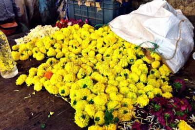 菊花,多色的,精子囊,斯里兰卡,水平画幅,无人,日历,篮子,市场,印度