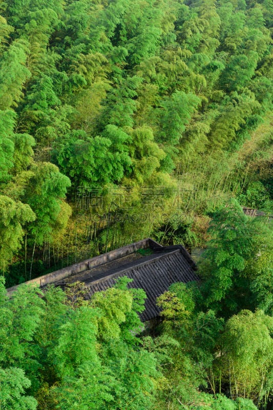 竹,海洋,国家公园,山口,四川省,垂直画幅,天空,美,禅宗,公园