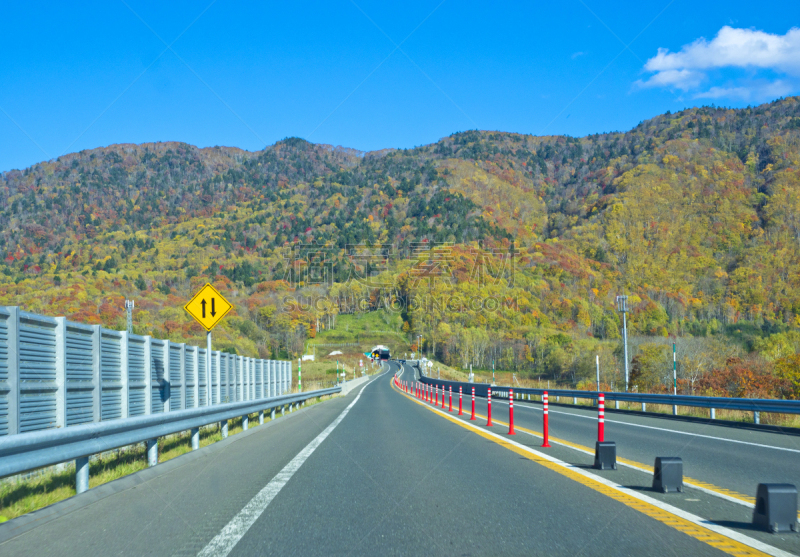 秋天,北海道,乡村路,季节,水平画幅,山,无人,田地,风景,公路隧道