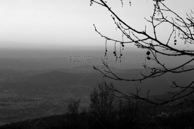 黑白图片,看风景,自然,沃洛斯,风景,希腊,冬天,图像,枝,嫩枝