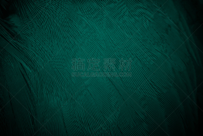 绿色,黑色,纹理,背景,翎毛,自然美,暗色,蓝色,毛皮,式样