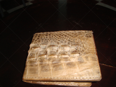 鳄鱼,特拉华,水平画幅,摩洛哥,无人,钱包,鳄鱼皮,一个物体,摄影