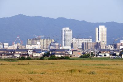 公寓,田地,摩天大楼,小麦,建筑外部,草津,滋贺县,自然,天空,水平画幅