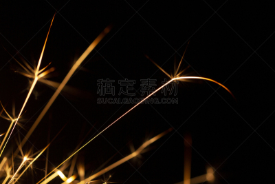 闪烁发光,分离着色,黑色背景,活力,热,暗色,橙色,啄木鸟,背景
