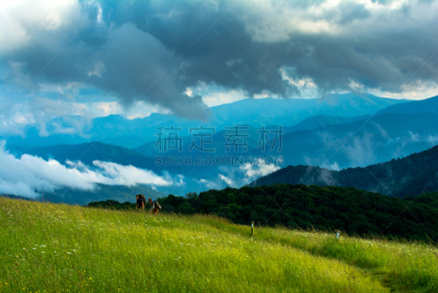 阿巴拉契亚山间栈道,菜园,皮撒国家森林公园,阿巴拉契亚山脉,国家森林公园,北卡罗来纳,自然,美国,水平画幅,云