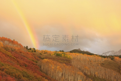 山,科罗拉多州,斯奈佛尔斯山脉,天空,水平画幅,雪,无人,户外,彩虹,树