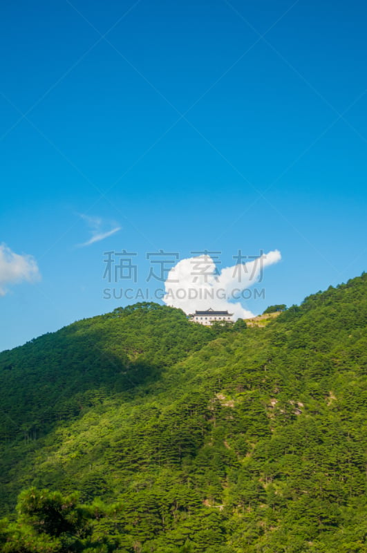 黄山山脉,中国,自然,垂直画幅,松树,山,无人,户外,中长距离,松科