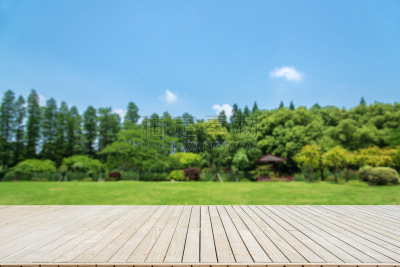 背景,公园,木板路,田地,抽象,留白,枝繁叶茂,草坪,夏天,草