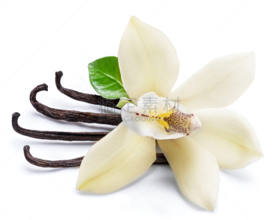 兰花,香草兰,干燥食品,滚铁环,芳香的,黄色,健康保健,白色背景,香料,乌克兰