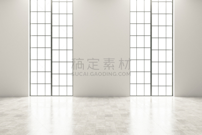 空的,住宅房间,窗户,室内,明亮,白色,空白的,巨大的,干净,华贵