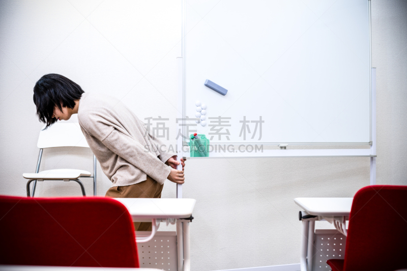 白板,女人,背面视角,穿衣服,新手,苦差事,动物迁徙,会议室,讲师,水平画幅