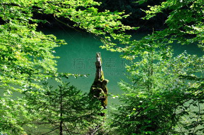 鲁波尔丁,湖,山,叶子,秋天,森林,色彩鲜艳,小的,水,水平画幅