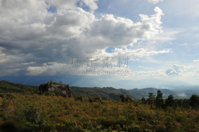 山谷,哇嵋纳,巴布亚新几内亚,自然,水平画幅,无人,热带雨林,森林,户外,雨林