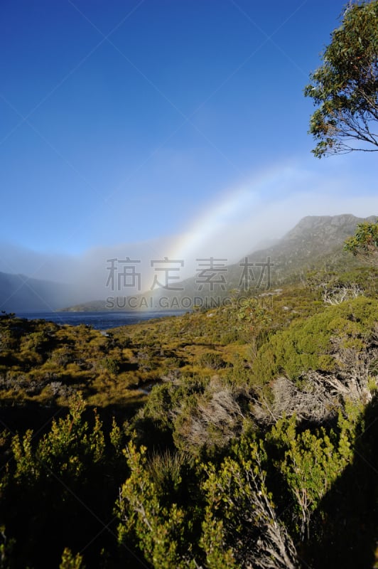 可瑞德山,冰原,塔斯马尼亚,垂直画幅,水,天空,留白,夏天,湖,草