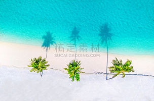 高视角,棕榈树,海滩,海洋,沙子,青绿色,水,风,巴厘岛,旅行者