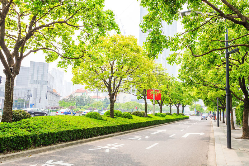 现代,路,天空,水平画幅,无人,户外,草,都市风景,林荫路,街道