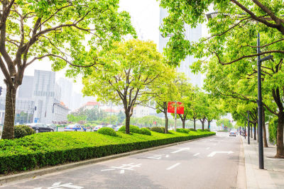 现代,路,天空,水平画幅,无人,户外,草,都市风景,林荫路,街道