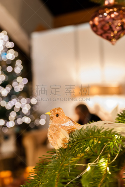 圣诞装饰物,宫灯百合,温馨家园,低照明,垂直画幅,无人,圣诞树,室内,圣诞小彩灯