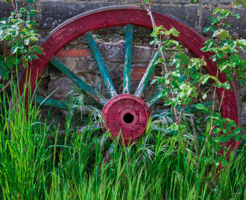 马轿,被抛弃的,车轮,马车,古董,水平画幅,风化的,19世纪风格,牛车,无人