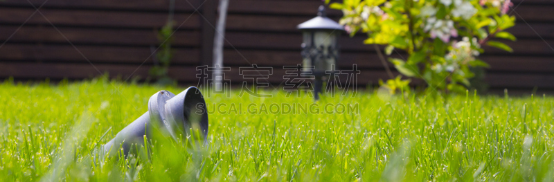 灯,草,菜园,绿色,庭院,中世纪,熟的,能源,化妆用品,刀刃草