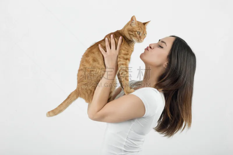 猫 女人 正面视角 美 留白 灵感 水平画幅 注视镜头 美人 白人图片素材下载 稿定素材