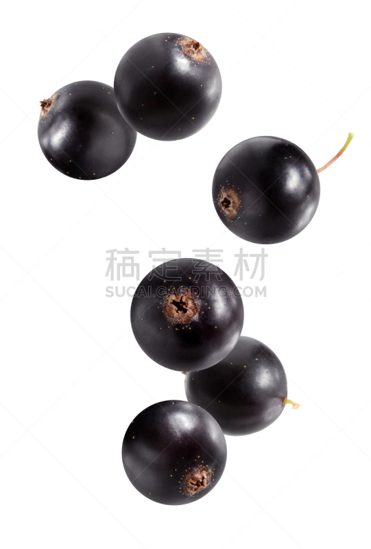 白色,黑加仑,分离着色,饮食,红醋栗,白色背景,背景分离,自然界的状态,垂直画幅,食品