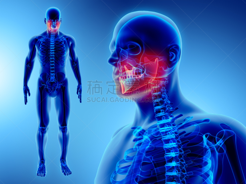 绘画插图,三维图形,健康保健,概念,动物颚骨,正面视角,人类骨架,水平画幅,无人,颌骨