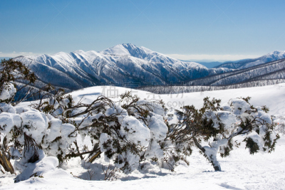 冬天,山,公园,山何坦,休闲活动,水平画幅,雪,无人,澳大利亚阿尔卑士山脉,户外