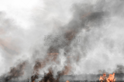 黑色,草,烟,火,火焰,力量,芦苇,田园风光,户外,夏天