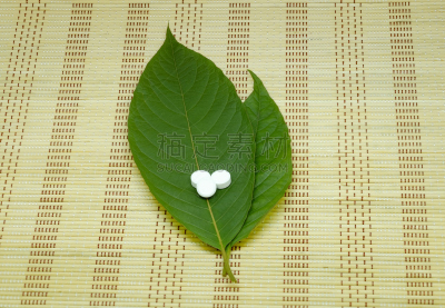 胶囊,泰国,健康生活方式,叶子,席子,健康保健,草本,比亚克岛,公式,糖尿病
