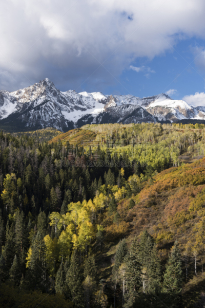 斯奈佛尔斯山脉,秋天,山,平衡折角灯,早晨,里面,大风雪,uncompahgre national forest,环境,云