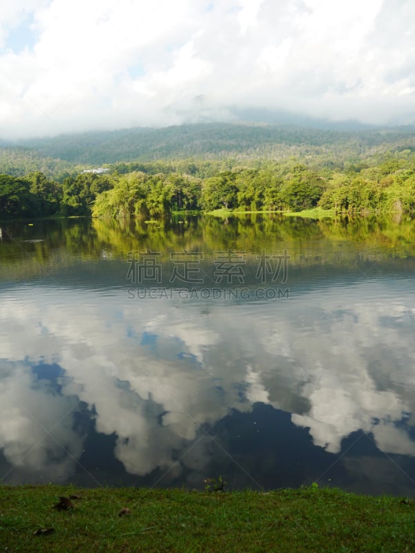 水塔,凤眼莲,水库,自然,垂直画幅,绿色,无人,户外,齿状山脊,山脉