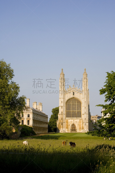 英国,剑桥,剑桥大学,英国剑桥,不明确的地点,垂直画幅,正面视角,留白,教堂,古老的