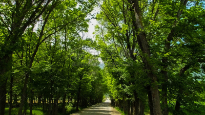 陆地,贝卡谷地,黎巴嫩,水,天空,水平画幅,山,无人,草坪,夏天