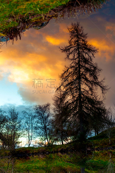 平衡,一只动物,克拉克马斯县,泥炭,波特兰,垂直画幅,俄勒冈州,俄勒冈郡,无人,研磨食品