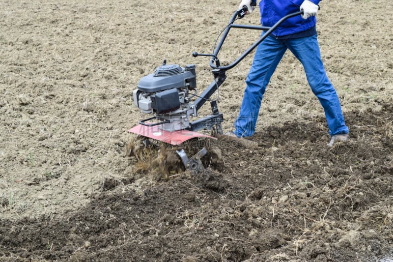 Planting potatoes under the walk-behind tractor