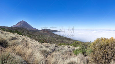 特内里费岛,自然,地形,云,草类,草,皮可德泰德山,植物,户外,天空